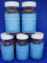 Load image into Gallery viewer, MossyLife&#39;s Seamoss Gummies Infused with Elderberry &amp; Ginger
